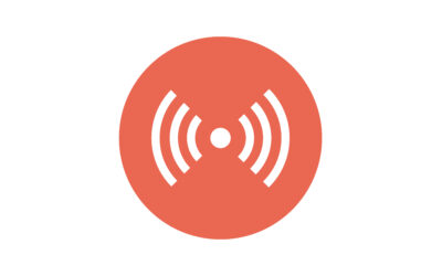 Das Wahrnehmende Selbst